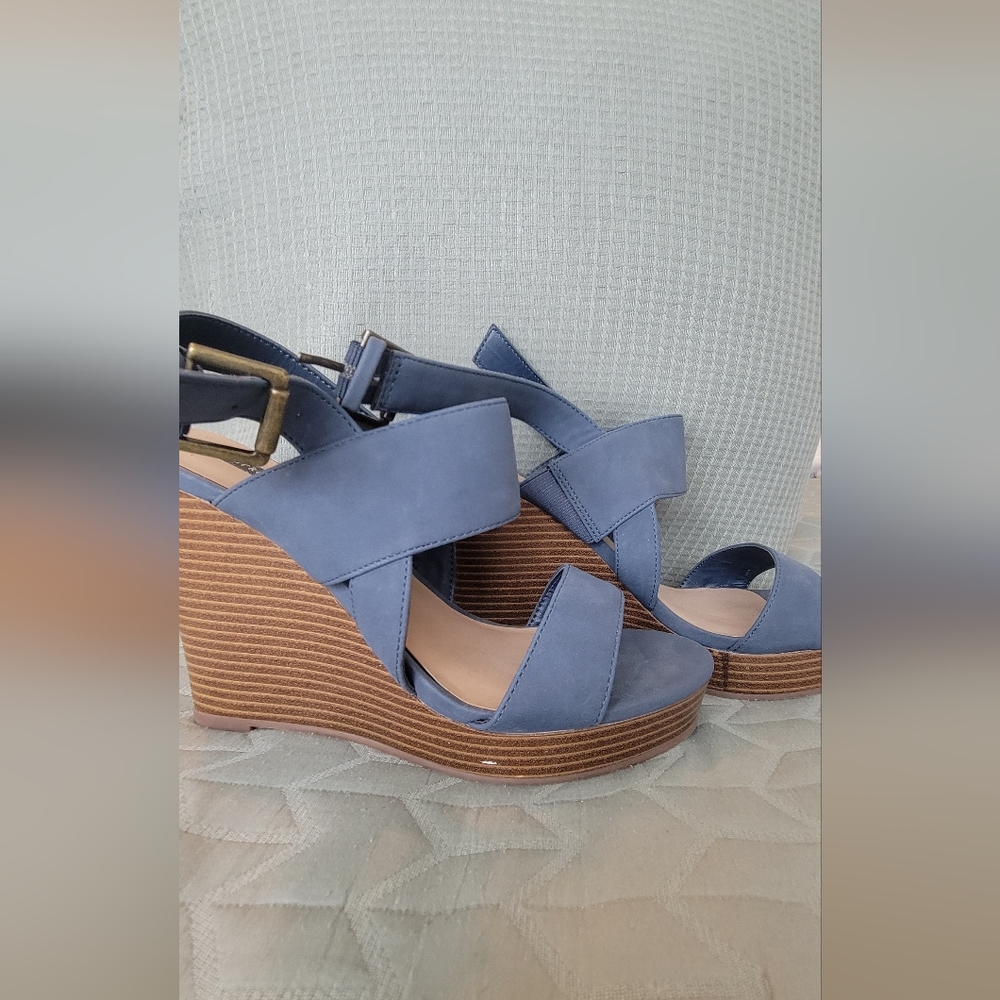 Blue Wedges